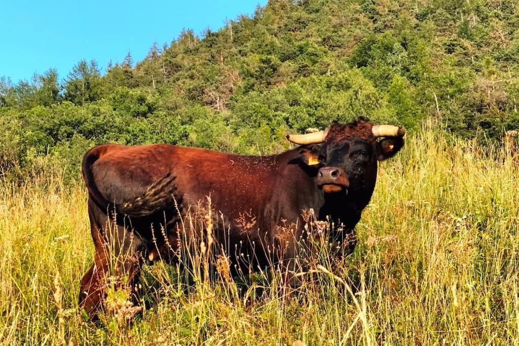 Appartamento Di Montagna Lo Grop Chambave ภายนอก รูปภาพ